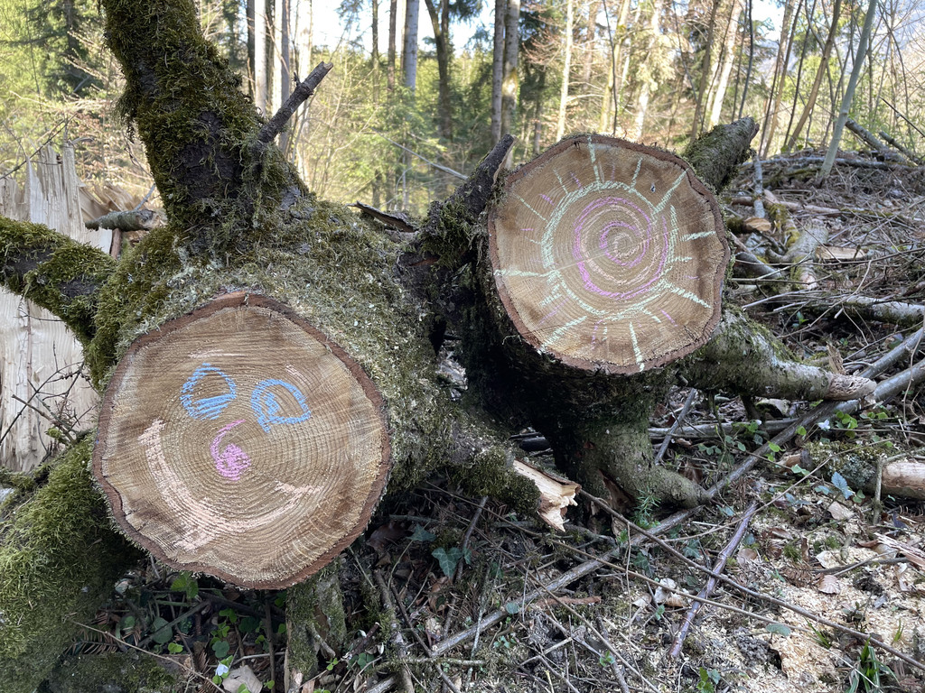 Waldgeister und Sonnen.JPG