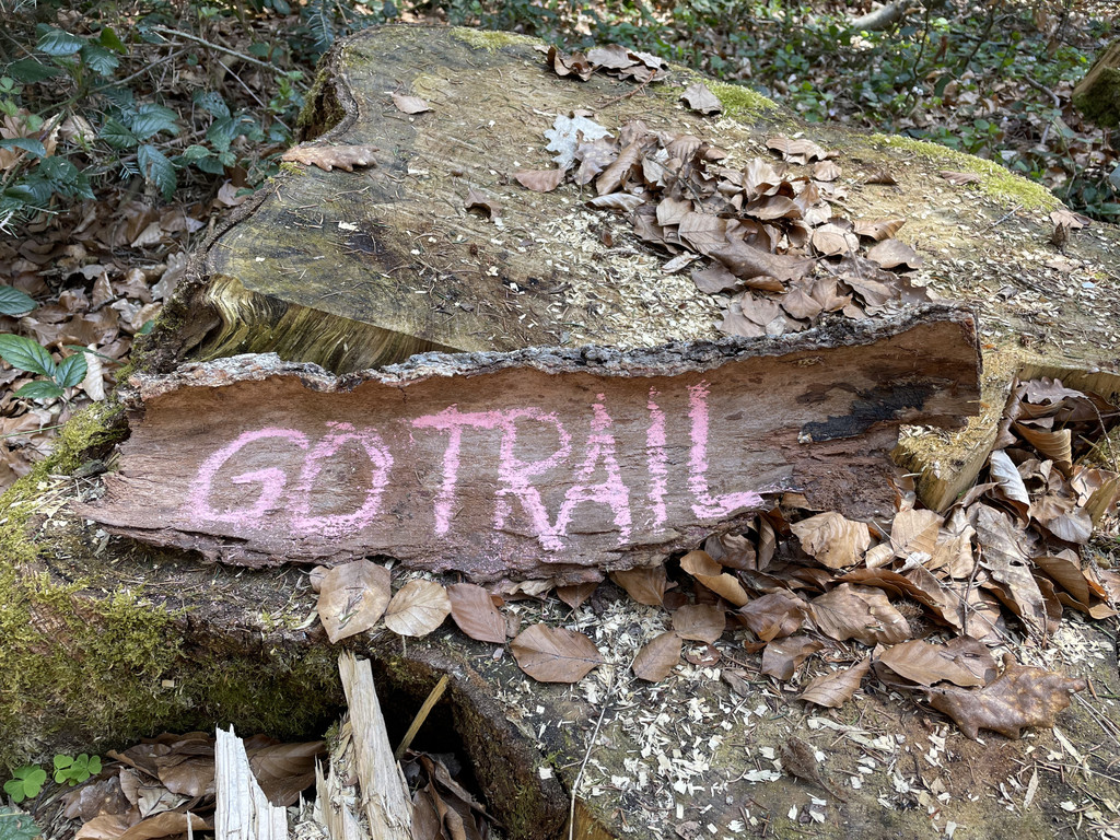 Borke beschriften.JPG