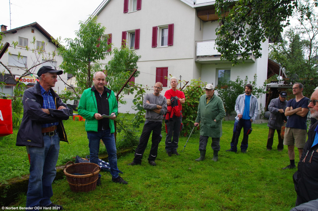 Sommerschnittkurs_2021_06.jpg