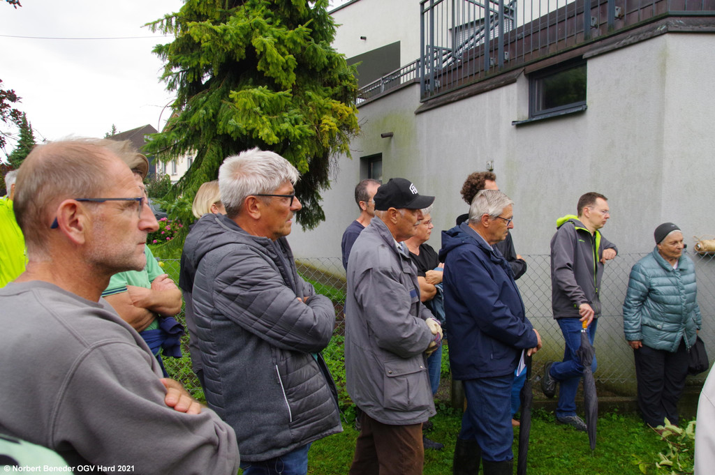 Sommerschnittkurs_2021_16.jpg