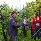 Sommerschnittkurs_2021_18.jpg