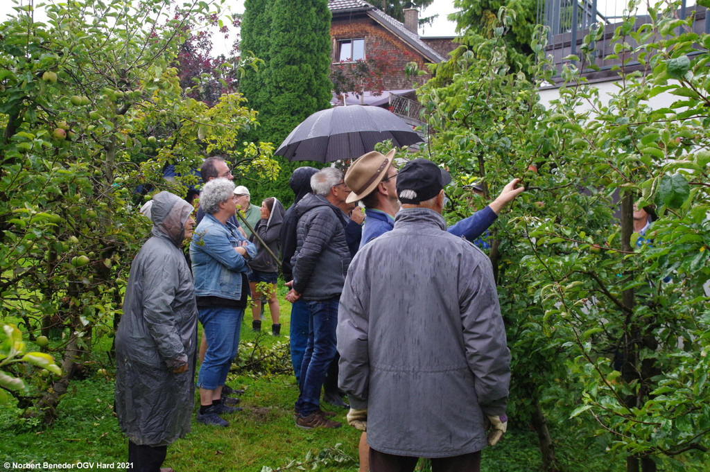 Sommerschnittkurs_2021_22.jpg