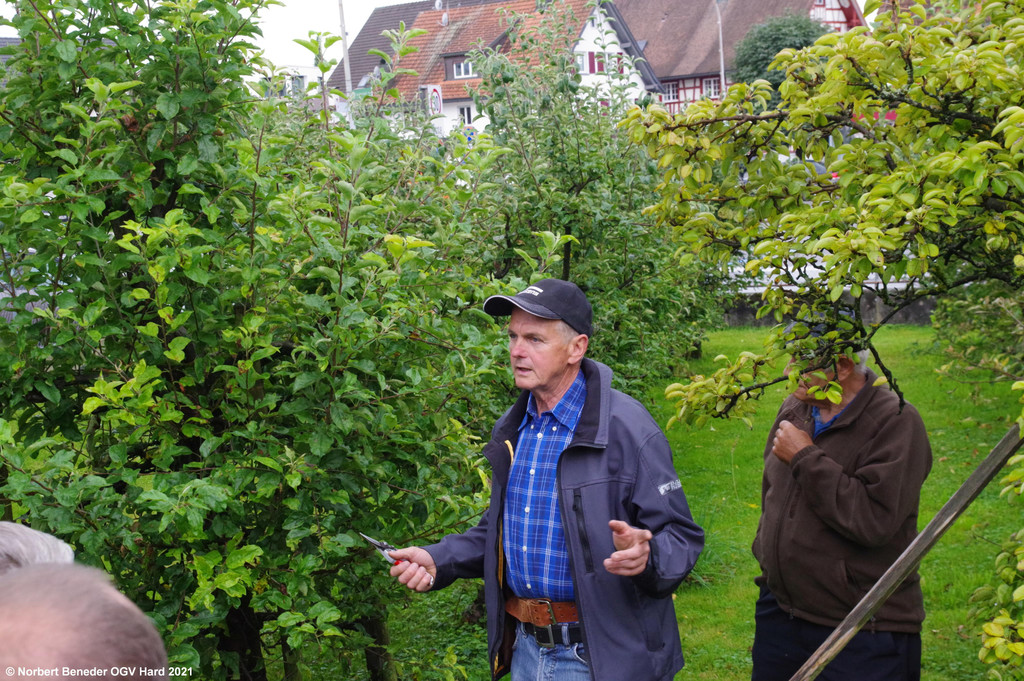 Sommerschnittkurs_2021_12.jpg