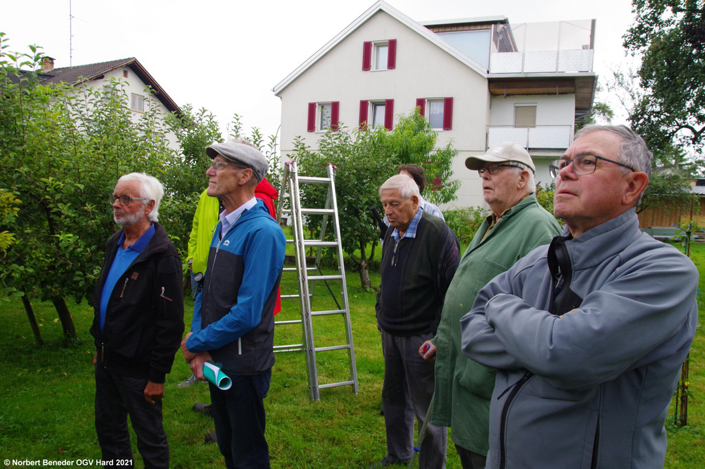 Sommerschnittkurs_2021_13.jpg