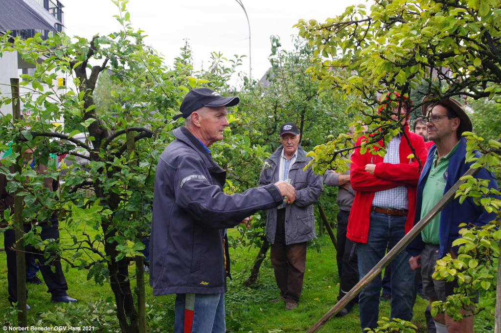 Sommerschnittkurs_2021_18.jpg