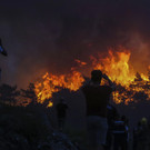 Turkey_Wildfire_31177.jpg