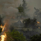 Greece_Fires_44916.jpg