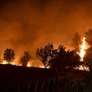 AFP_9KB3AC.jpg