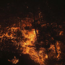 Turkey_Wildfire_88290.jpg