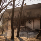 AFP_9KM9LU.jpg