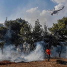 AFP_9KN332.jpg