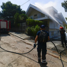Greece_Fires_30658.jpg
