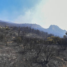 Greece_Fires_48361.jpg