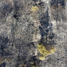 Greece_Wildfires_04000.jpg