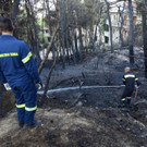 Greece_Wildfires_20842.jpg