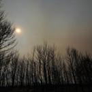 Greece_Fires_26927.jpg