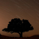 2019-08-13T000000Z_1150906644_RC1C16871090_RTRMADP_3_METEOR-SHOWER-ISRAEL.JPG