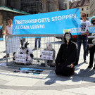 VGT-Aktion am Stephansplatz