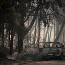 AFP_9JW77Z.jpg