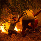 AFP_9KU7DA.jpg