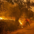 AFP_9KU7Q6.jpg