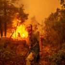 AFP_9KV98F.jpg