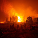AFP_9KW48Z.jpg
