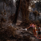 AFP_9KX6PQ.jpg