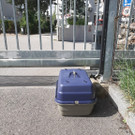 ThorTor1_nachgestellt.jpg
