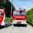 Heckenbrad in Lochau