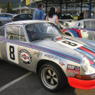 842305.jpg