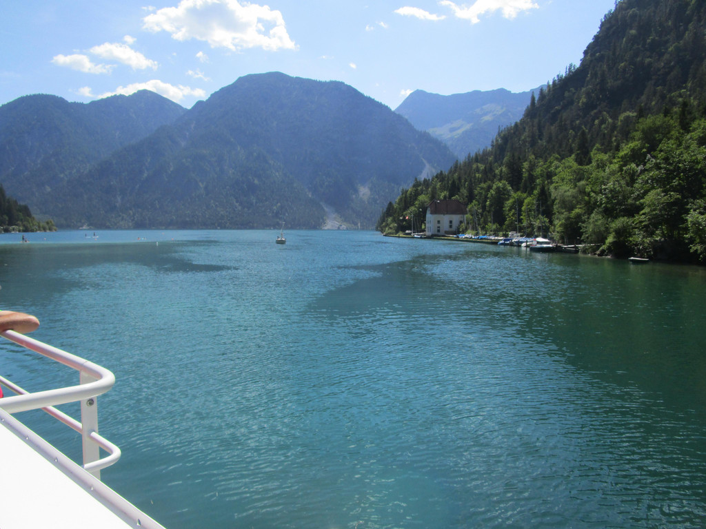 IMG_4853.JPG