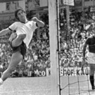 Euro_2020_Soccer_A_Fan_27s_Lament_37222.jpg