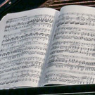 P1007065-2.jpg