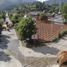 China_Wandering_Elephants_05383.jpg