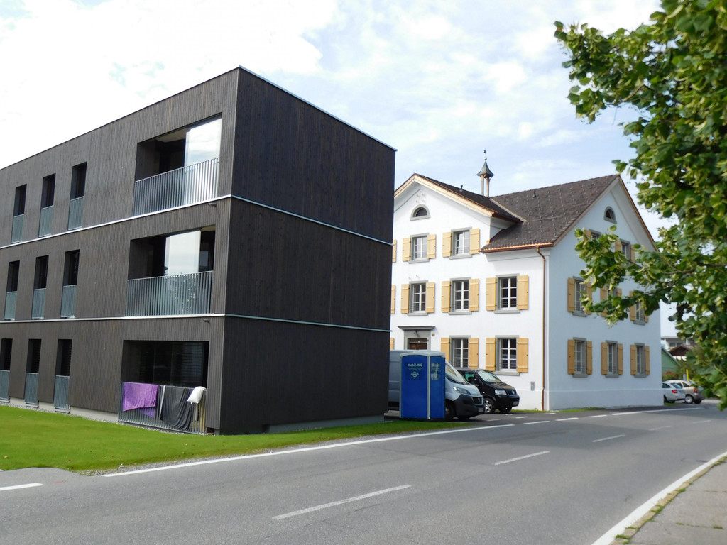 DSCI6305.JPG