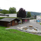 Frischer Glanz für Jugendplatz im Moos