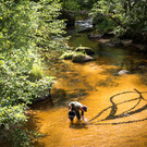 WH21_Installation LandArt_MatthiasWuerfel_c_WolfgangZo__ch-Schu__pbach n.jpg