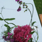 07-07-PVB11767 _1_.JPG