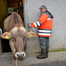 Käseanschnitt Alpe Gamperdon