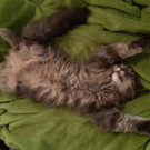 20200711_215626.jpg