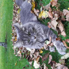 20201002_170220.jpg