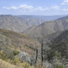 California_Family-Mysterious_Deaths_91227.jpg