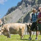 bregenzerwald_17.jpg