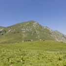 bregenzerwald_16.jpg