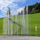 2021 Vorderwald IMG_4606 _1_.jpg