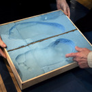 DAB3169-20120503.jpg