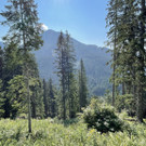 Wandern in Filmoos: Hofpürglhütte, Kraftplätze und Co.