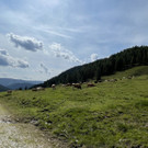 IMG_7304.jpg