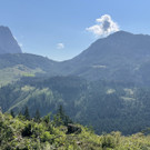 IMG_7207.jpg